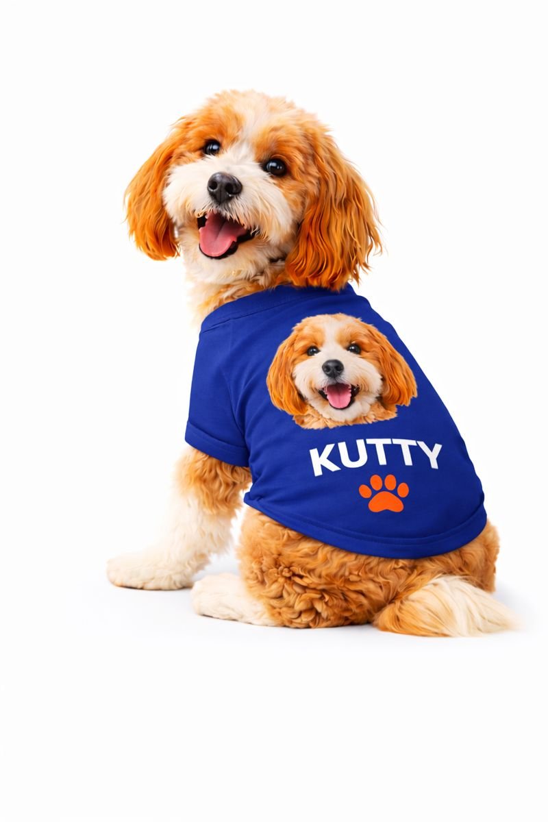 A Custom Dog T-Shirt Made Just for Your Pup.
